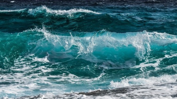 Снимка: Pixabay