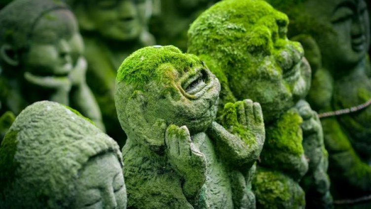 Снимка: Pixabay