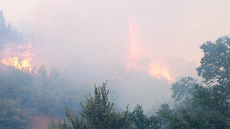 Снимка: архив, Булфото