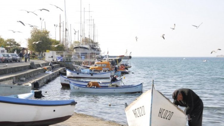 Снимка: архив "Булфото"