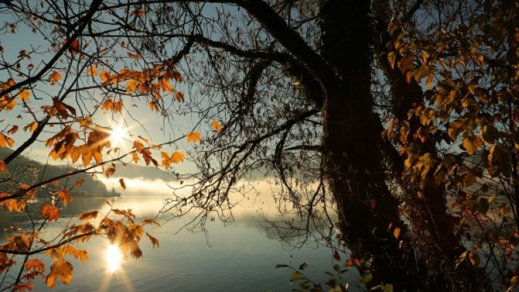 Снимка: Pixabay