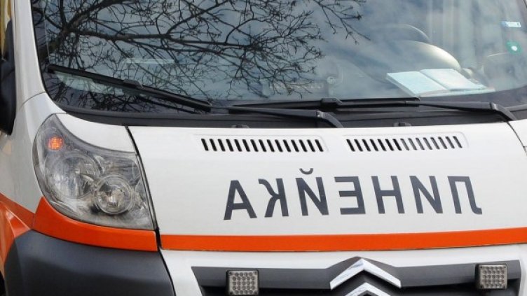 Снимка: Архив, Булфото