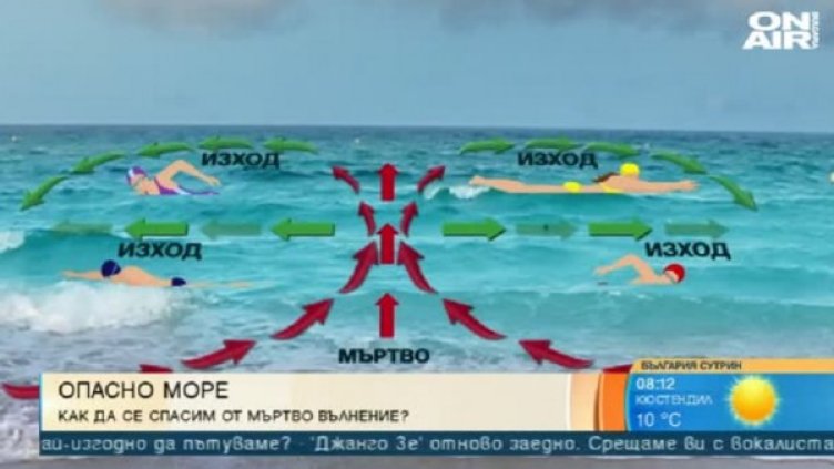 Снимка: Кадър Bulgaria ON AIR