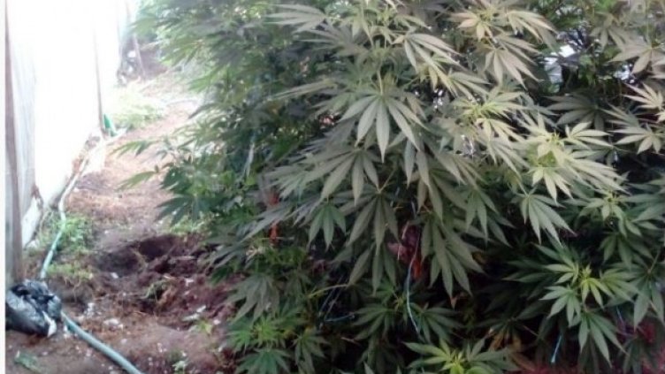 Снимка: МВР