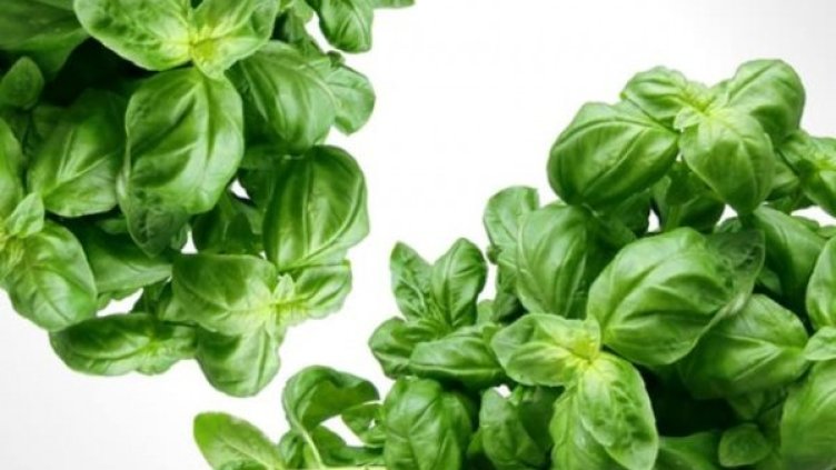 Снимка: pixabay