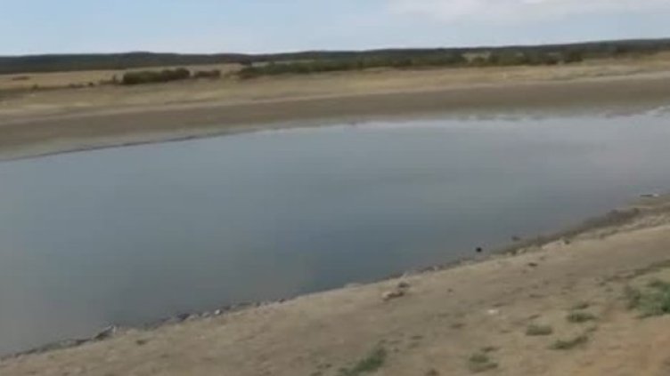 Снимка: Bulgaria ON AIR