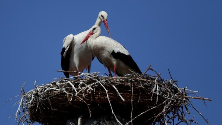 Снимка: Reuters