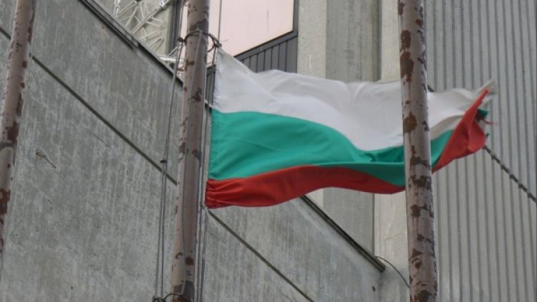 Снимка: BulFoto архив