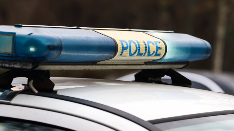 Снимка: архив, БГНЕС