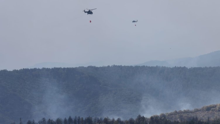 Снимка: архив, БГНЕС