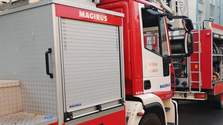 Снимка: архив, БГНЕС