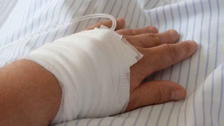 Снимка: Pixabay/ stux