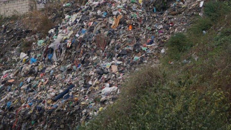 Снимка: BulFoto