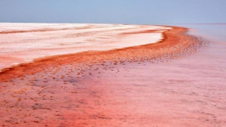 Снимка: Twitter