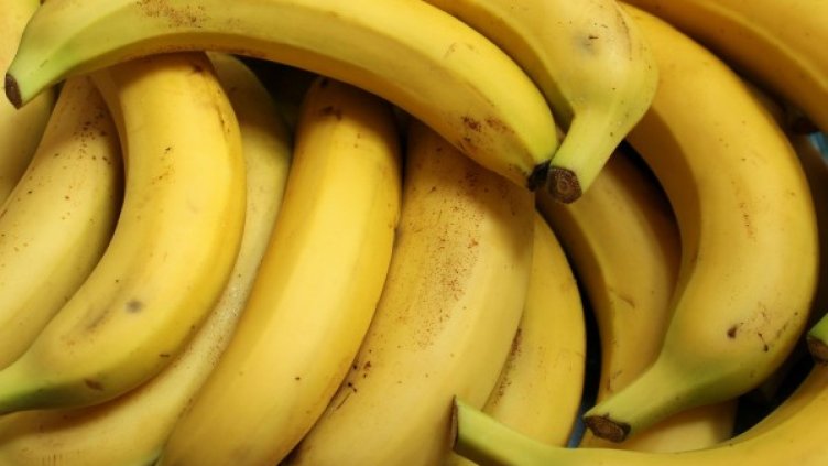 Снимка: Pixabay