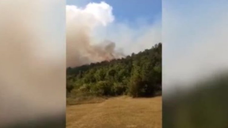 Снимка: Bulgaria ON AIR