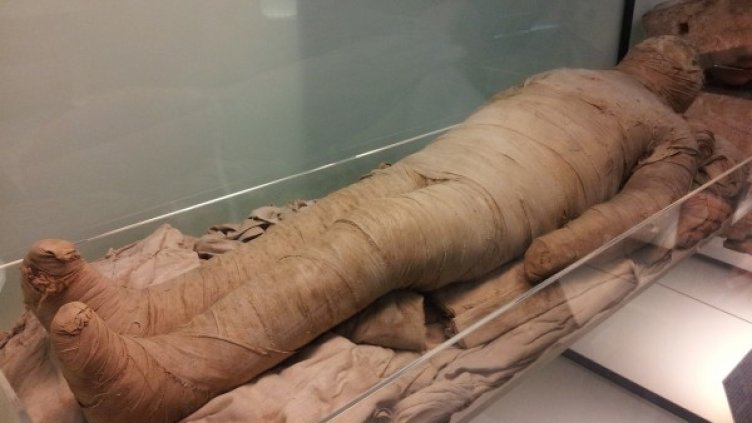 Снимка: Pixabay