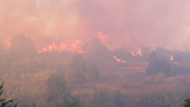 Снимка: БулФото/ Архив
