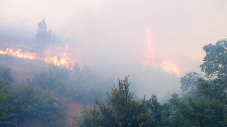 Снимка: архив, Булфото