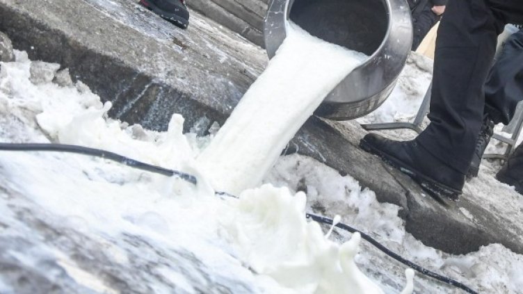 Снимка: архив "Булфото"