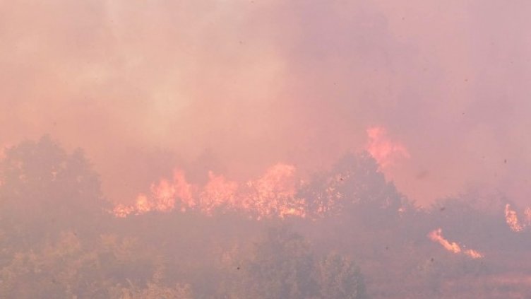 Снимка: БулФото/ Архив