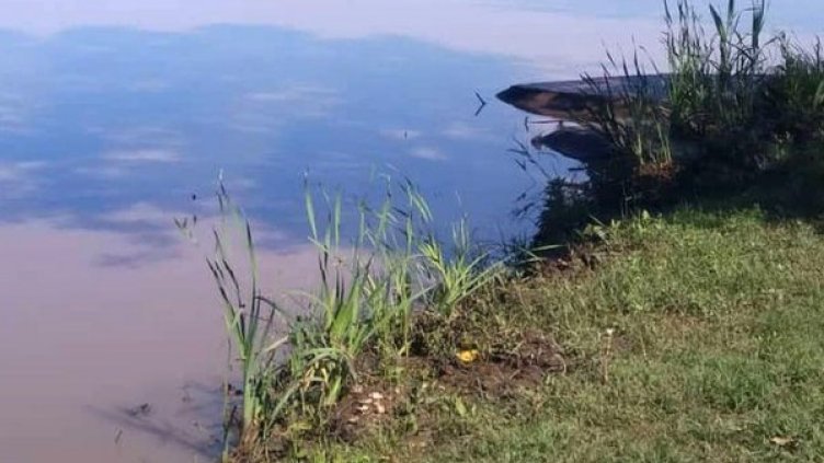 Снимка: Булфото, архив