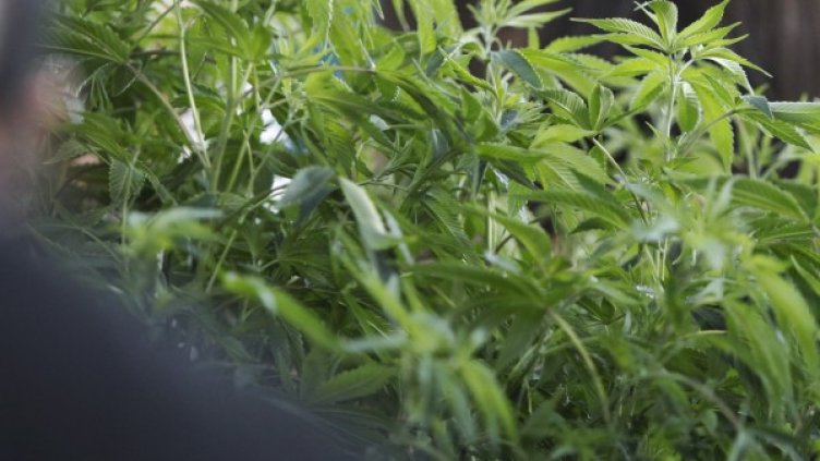 Снимка: Reuters