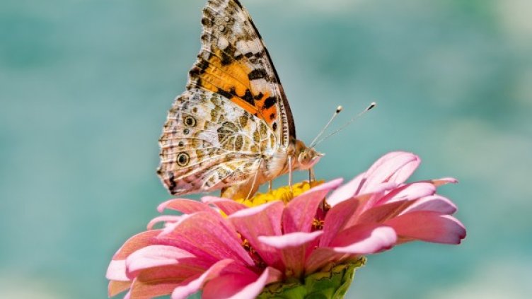 Топъл и горещ вторник, температурите – до 35 градуса