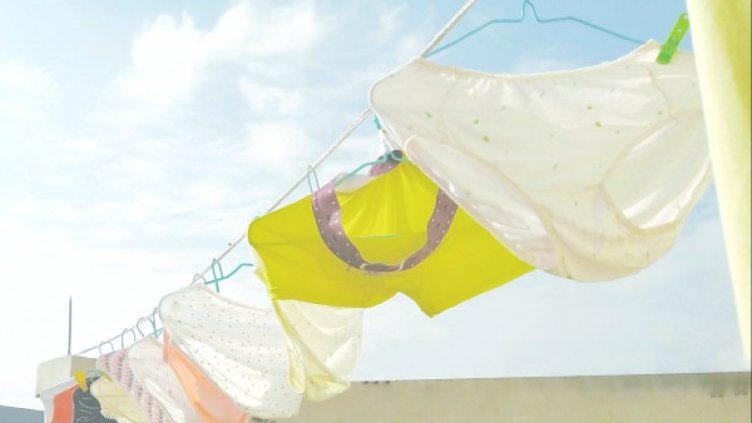 Снимка: pexels.com