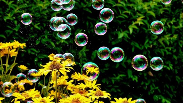 Снимка: Pixabay