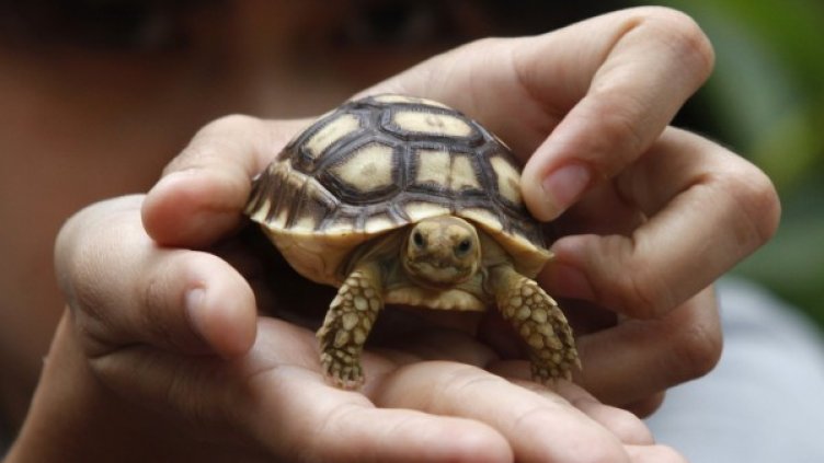 Снимка: архив, Reuters