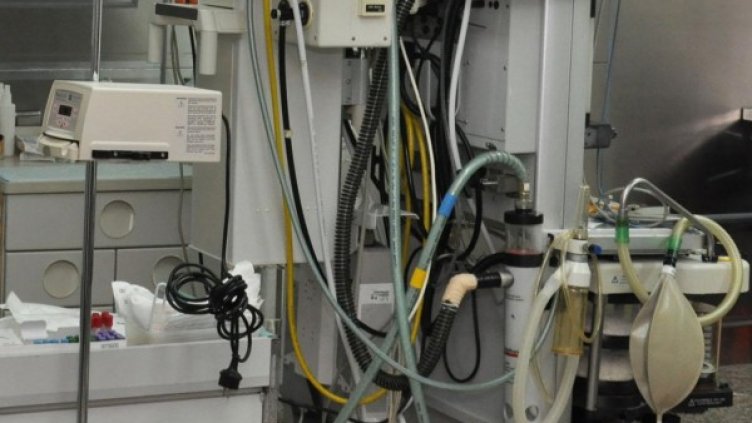 Снимка: архив, БулФото