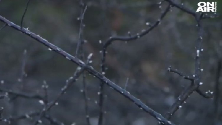 Кадър: Bulgaria ON AIR