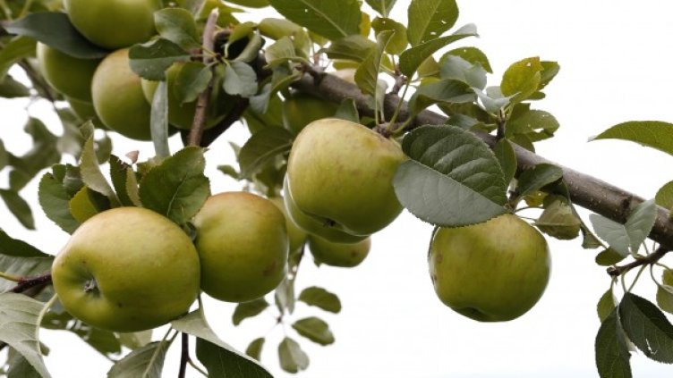 Снимка: архив, Reuters