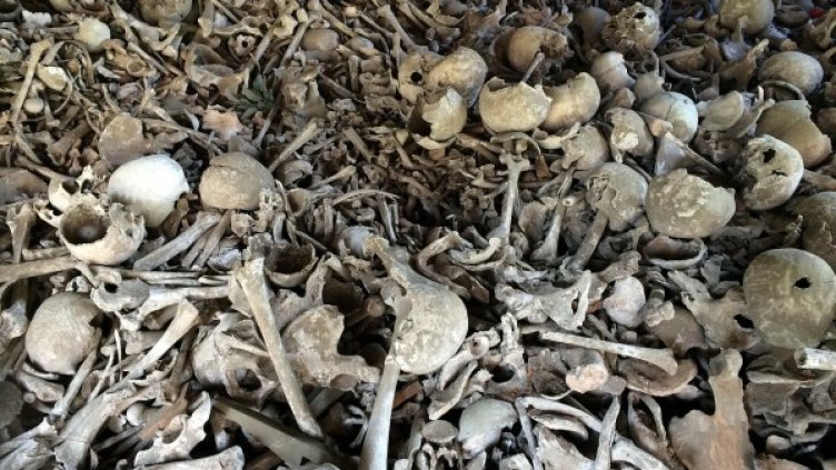 Снимка: Pixabay