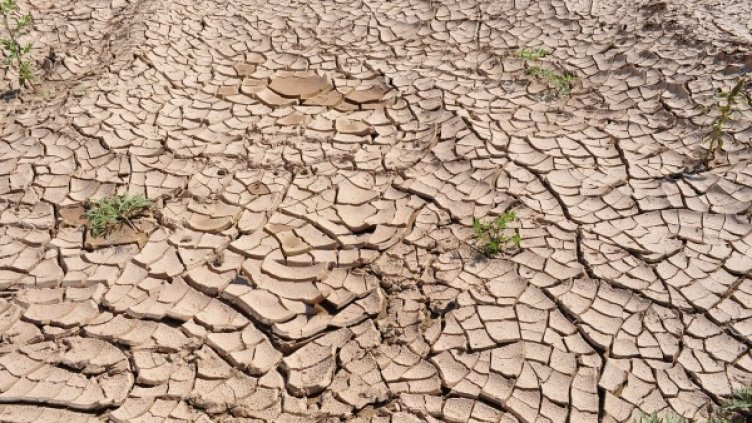 Снимка: Pixabay