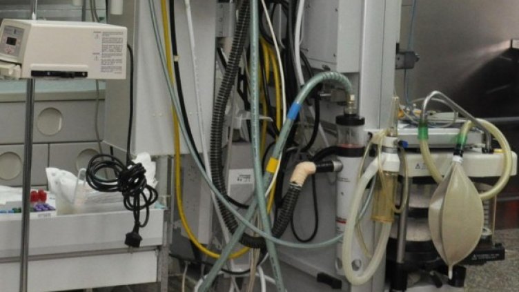 Снимка: архив, БулФото