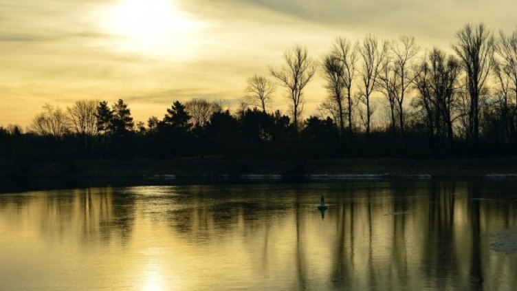 Снимка: pixaBay