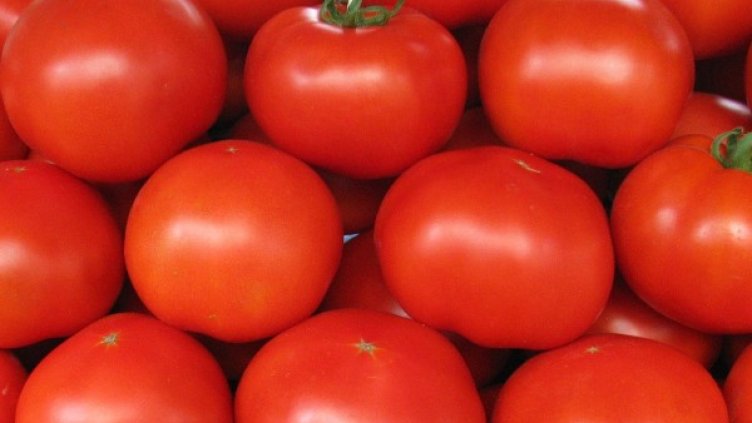 Снимка: БулФото