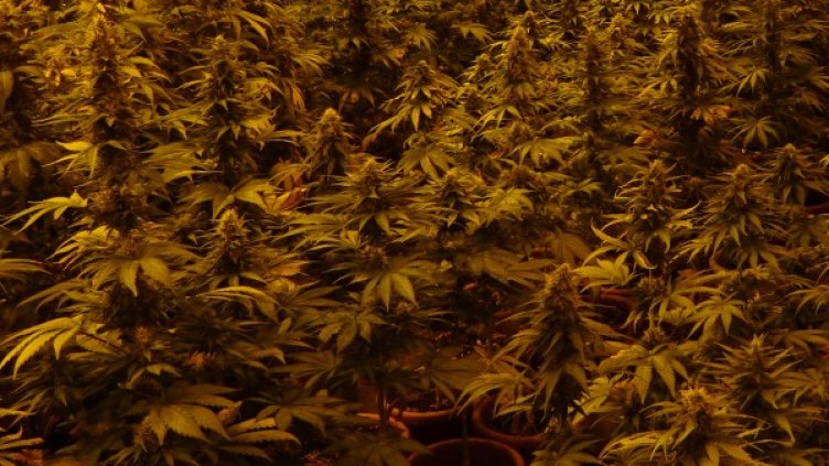 Снимка: МВР/ Архив