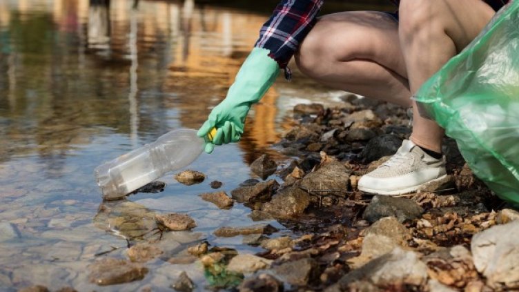 Снимка: Pixabay