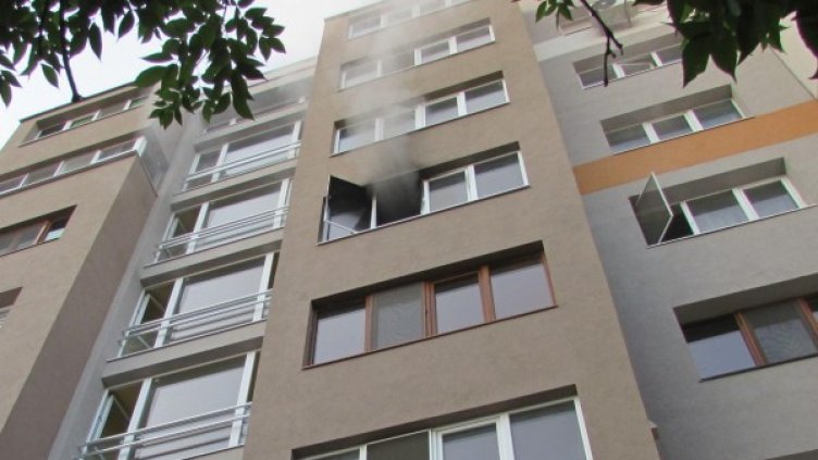 Снимка: БулФото