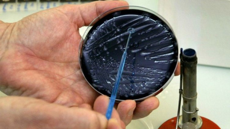 Снимка: Reuters