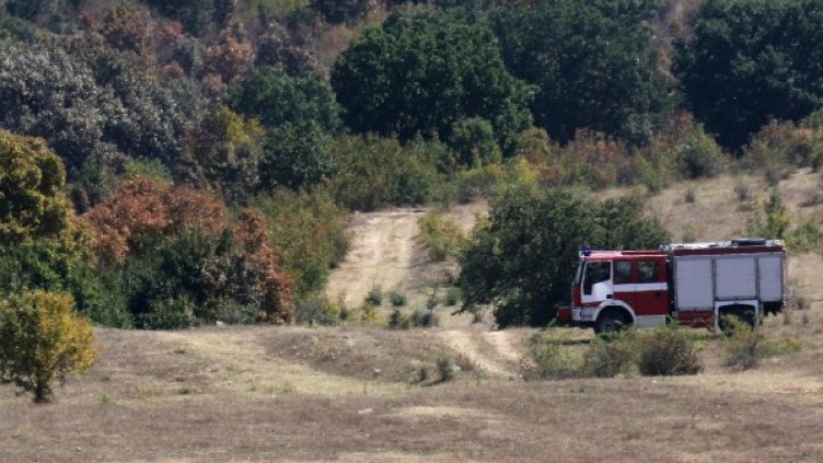 Снимка: архив, БулФото