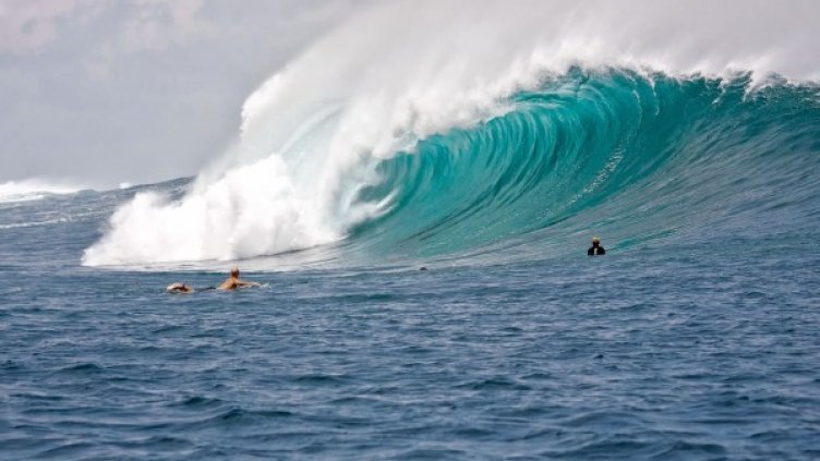 Снимка: Pixabay