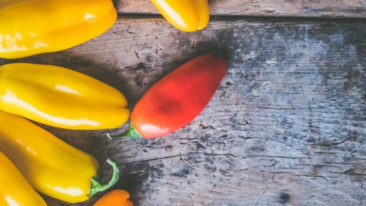 Снимка: Pexels