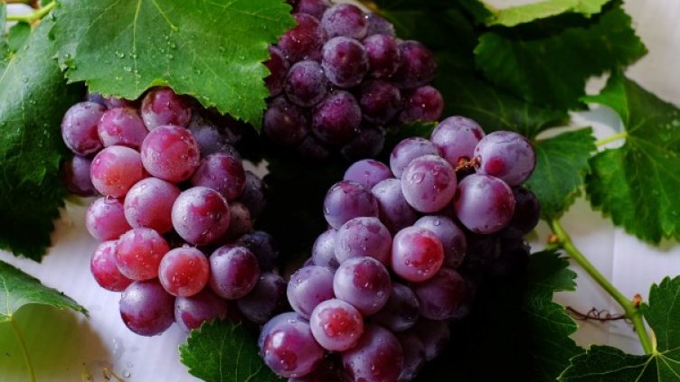 Снимка: pexels