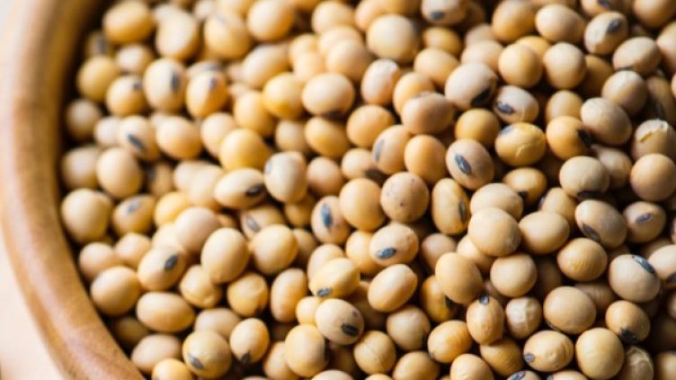 Снимка: pexels.com