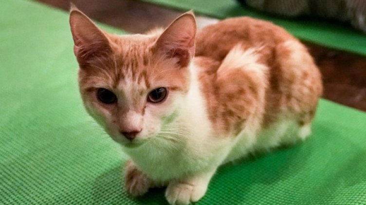 Снимка: архив, Reuters