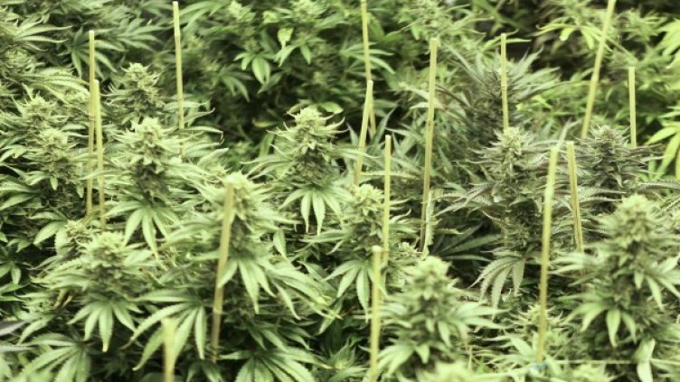 Снимка: архив, Reuters